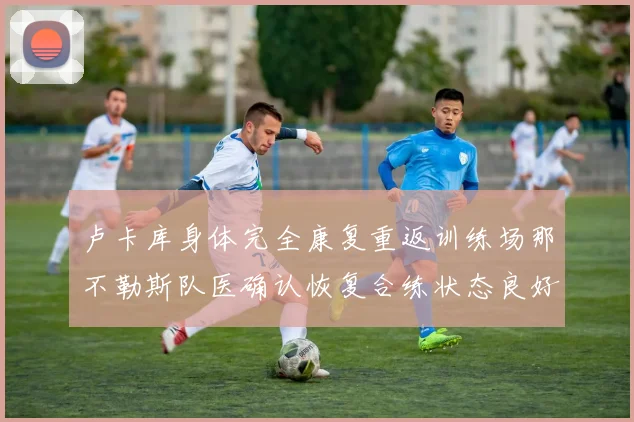 卢卡库身体完全康复重返训练场那不勒斯队医确认恢复合练状态良好
