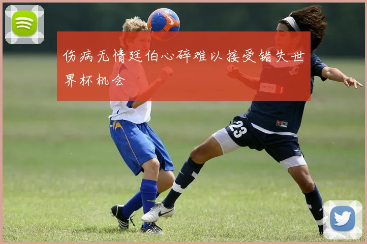 伤病无情廷伯心碎难以接受错失世界杯机会